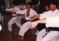Sensei's Wong and Kwok
