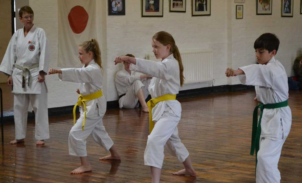 Konjaku Shin Kyu Grading