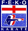 FEKO